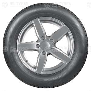Nokian Tyres Hakkapeliitta R3 205/55 R17 95R